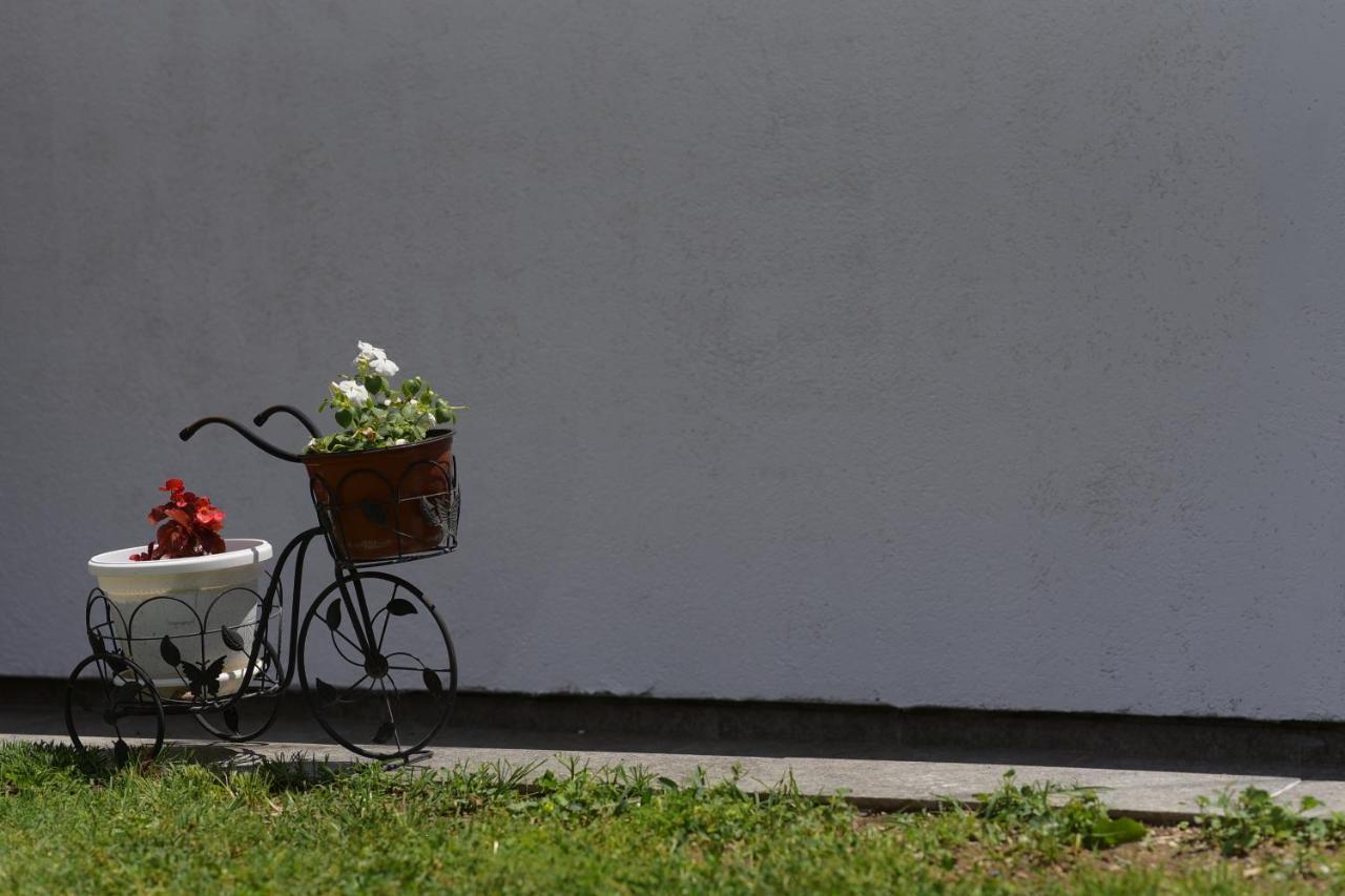 Apartments Villa Naumovi Dojran エクステリア 写真